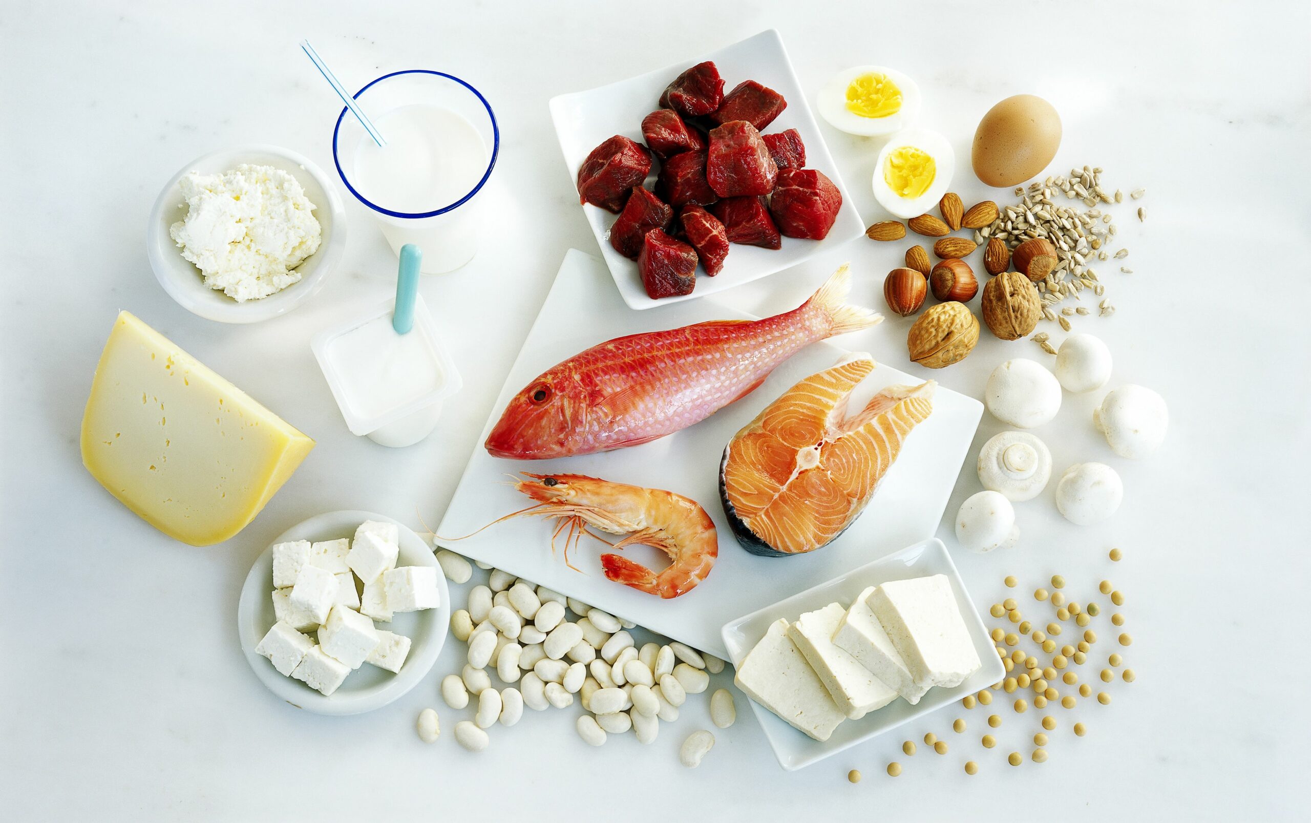 benefits of high protein diet understanding