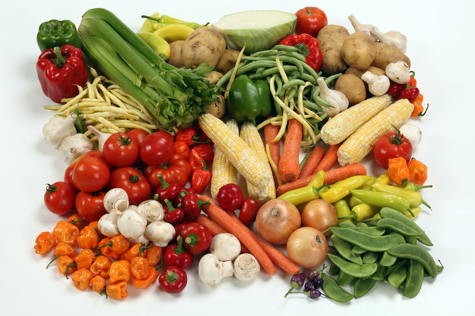 vegan diet plan for weight loss Nutritional Deficiencies