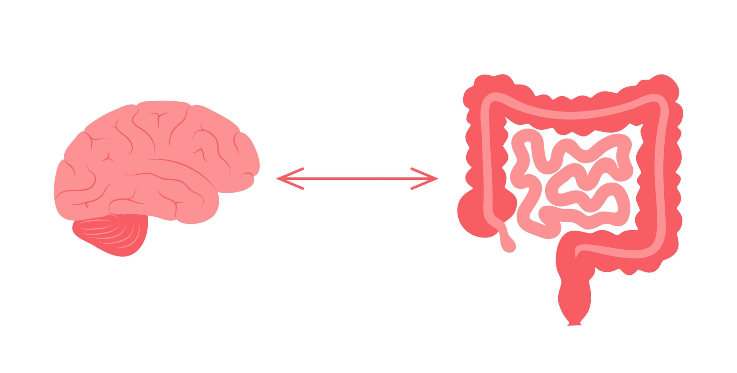 Mindful Eating and Gut Health gut-brain axis