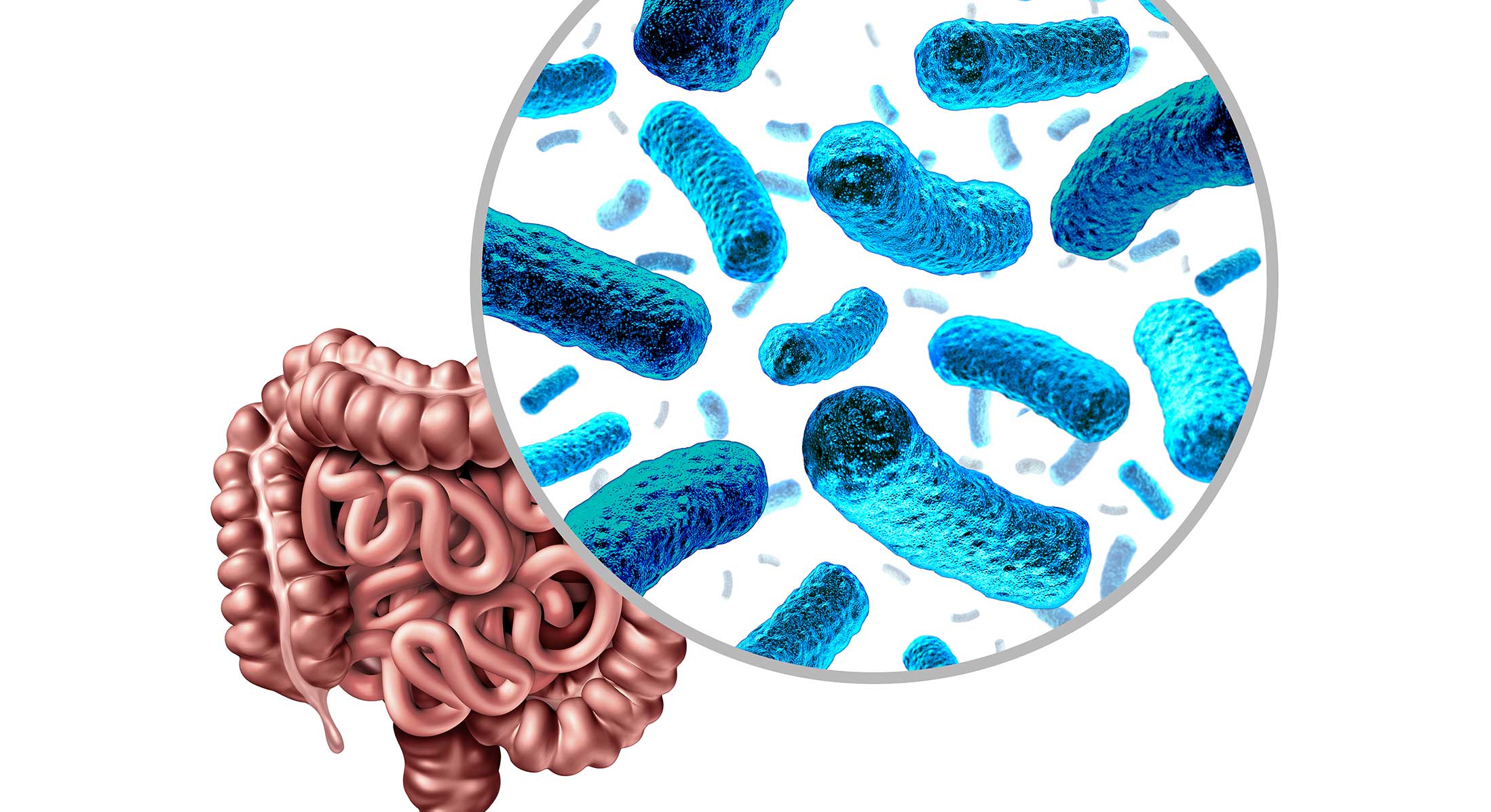 Mindful Eating and Gut Health gut microbes