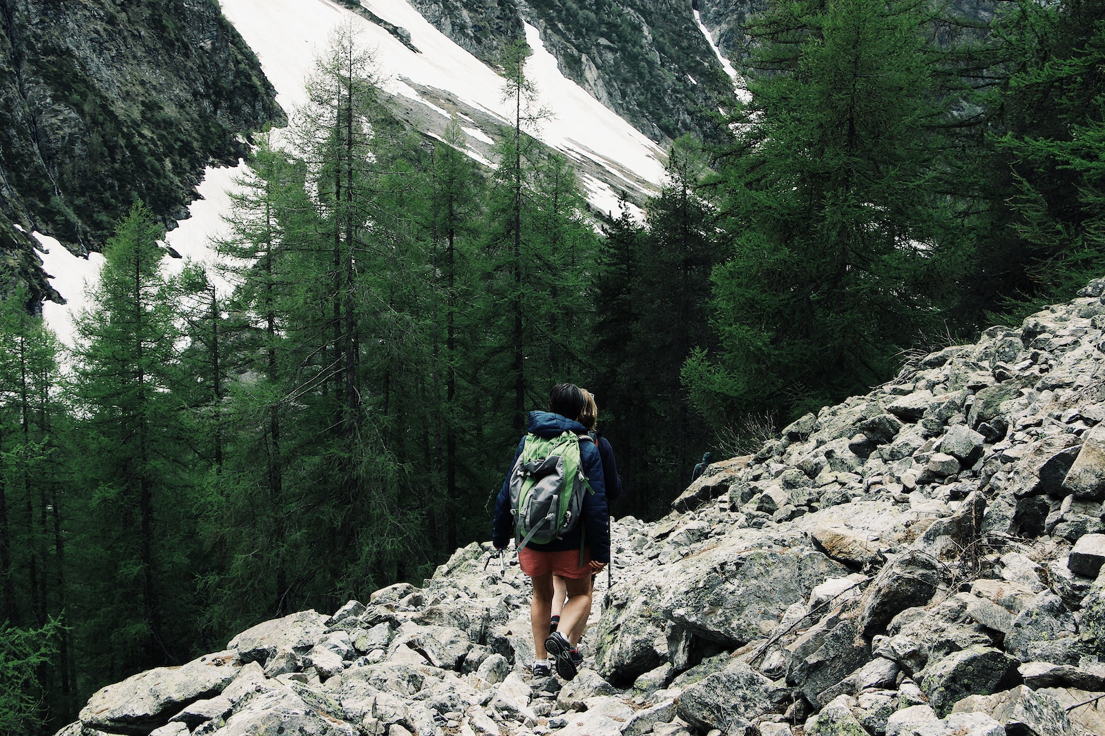 Benefits of Hiking for Health and Well-Being nature