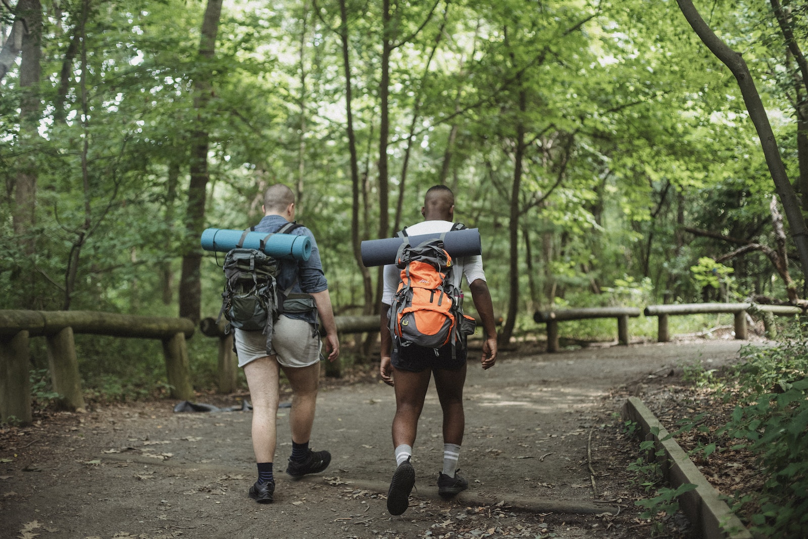 Benefits of Hiking for Health and Well-Being what is