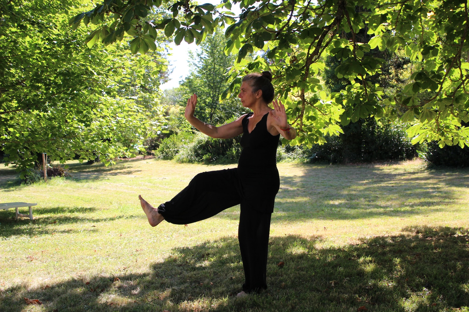 Mindful Movement and Mental Clarity tai chi